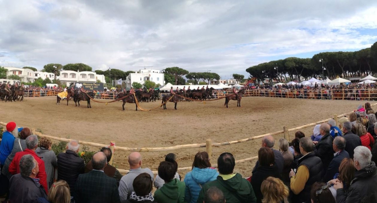 Maremma d'Amare