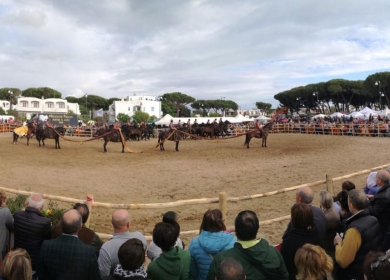 Maremma d'Amare